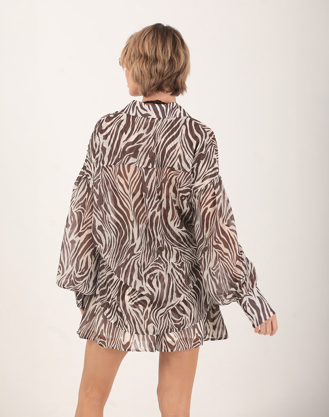 Zebra Shirt