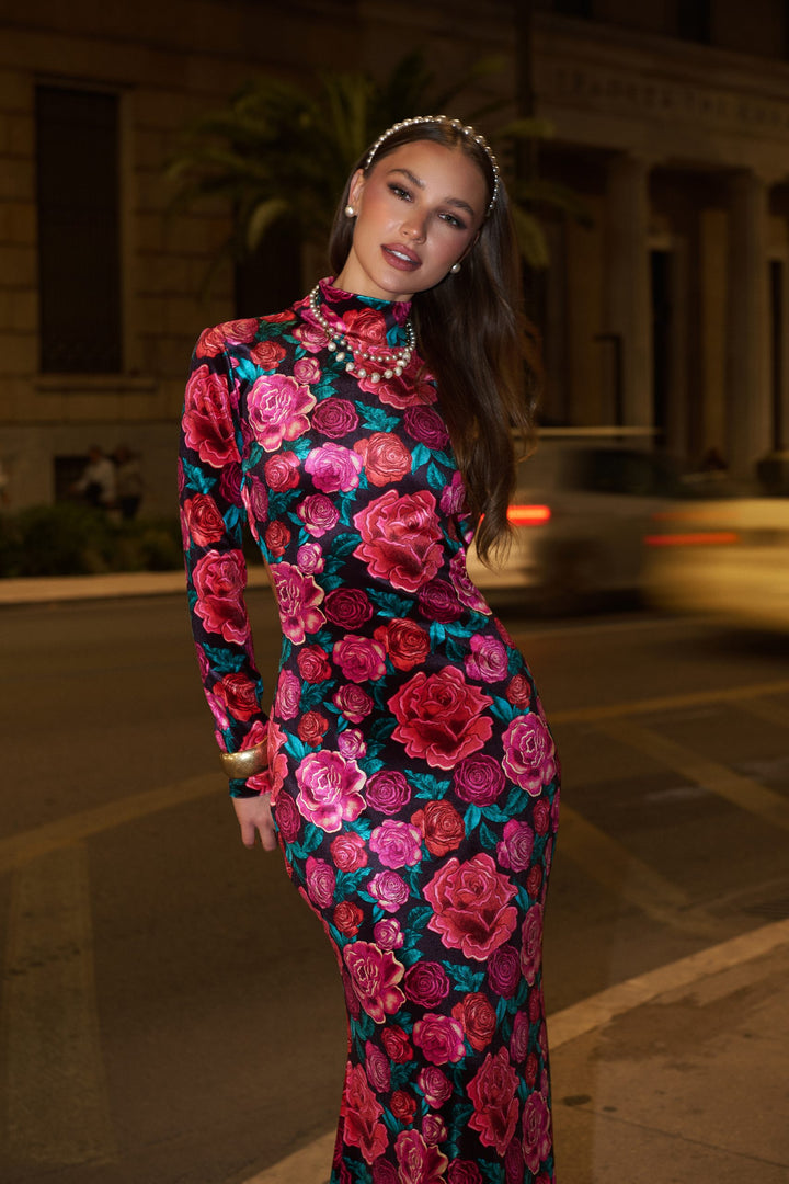 Cecil maxi velvet dress